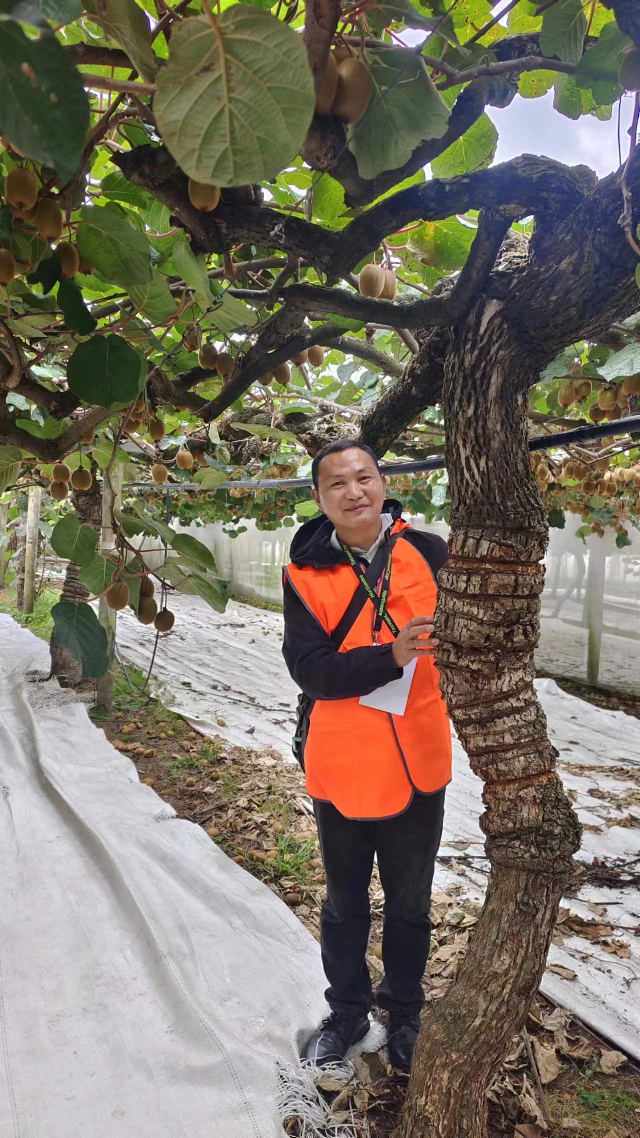 参加2024年新西兰国际猕猴桃研讨会