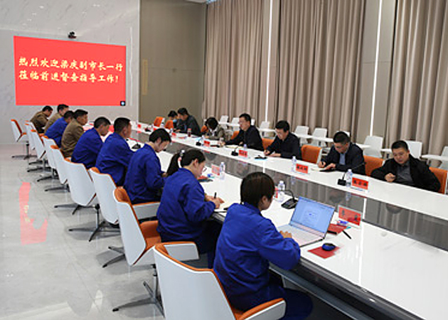 洛阳市市委常委、副市长梁庆一行到公司进行安全生产督导检查