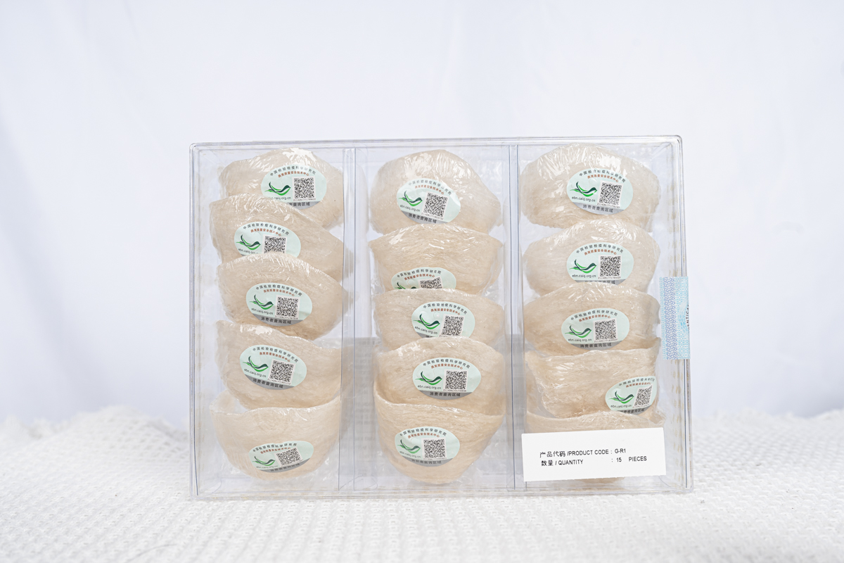 20221206-20221206-DSC07386