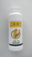 肯邦1