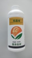 稻嘉绿1