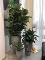 CgAGe1pxgjCAIDV0AAD6c4UWZgg345