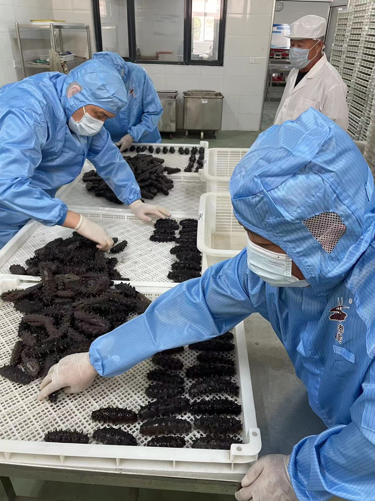 appetizing-citrus-clementines-327098