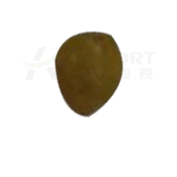 小果-单颗5g以下