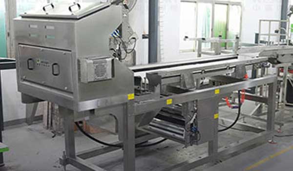 黄皮果色选机客户现场