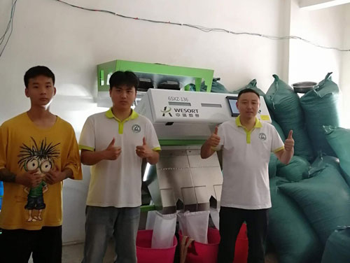 双通道红花椒分选客户现场