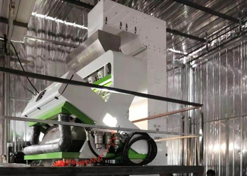 四通道花椒色选机客户现场