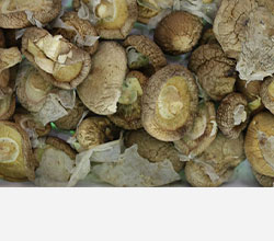 带有塑料膜香菇