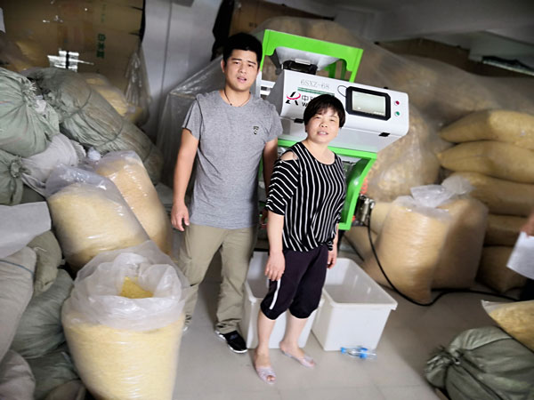 食用菌分选客户现场