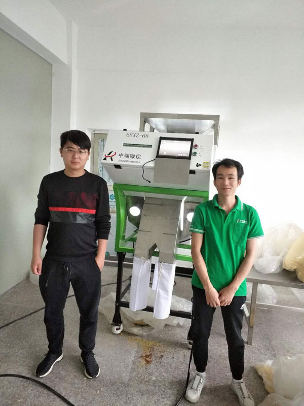 食用菌分选案例