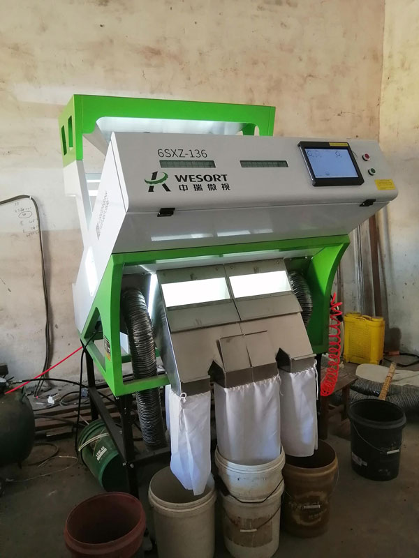 吉林选木耳客户现场