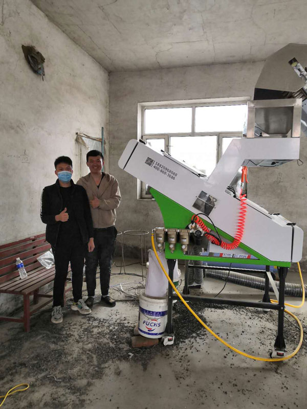 黑龙江选木耳客户现场