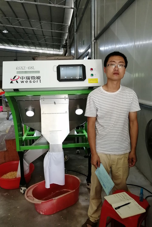 福建选银耳-单通道履带机