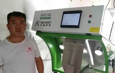 山西选蒜米客户