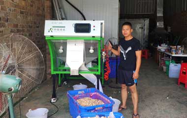 广西选蒜米单通道履带机