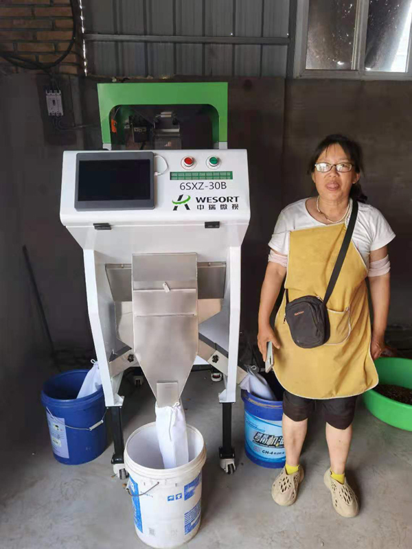 迷你型杏仁色选机客户