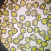 微信图片_20211114143958_副本