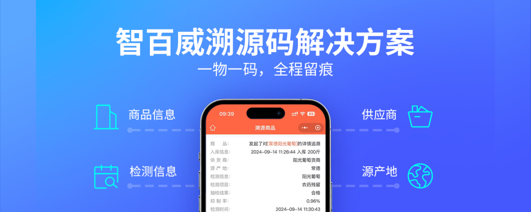 组 12(1).png
