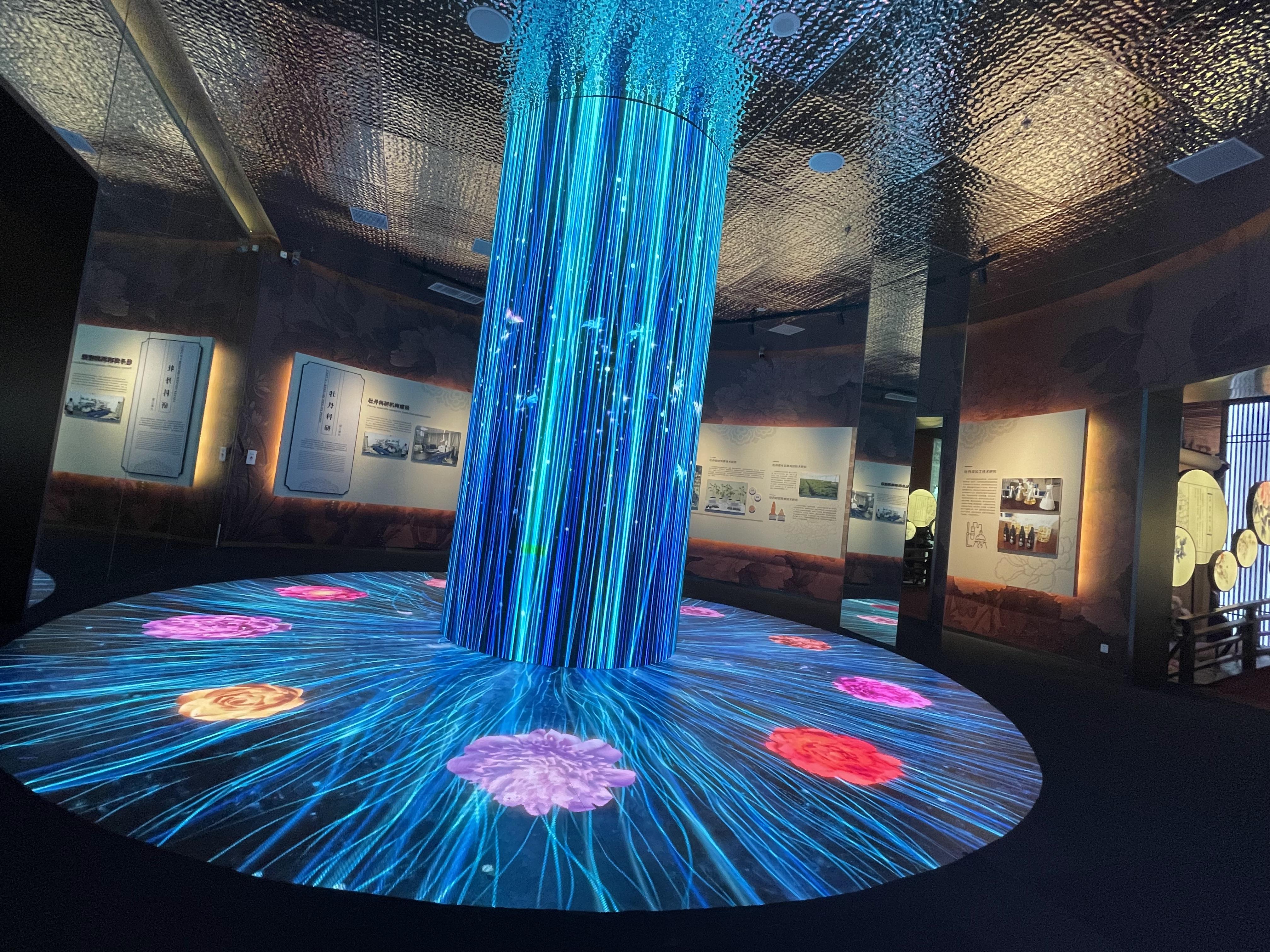 2023_06_01_16_52_IMG_8340