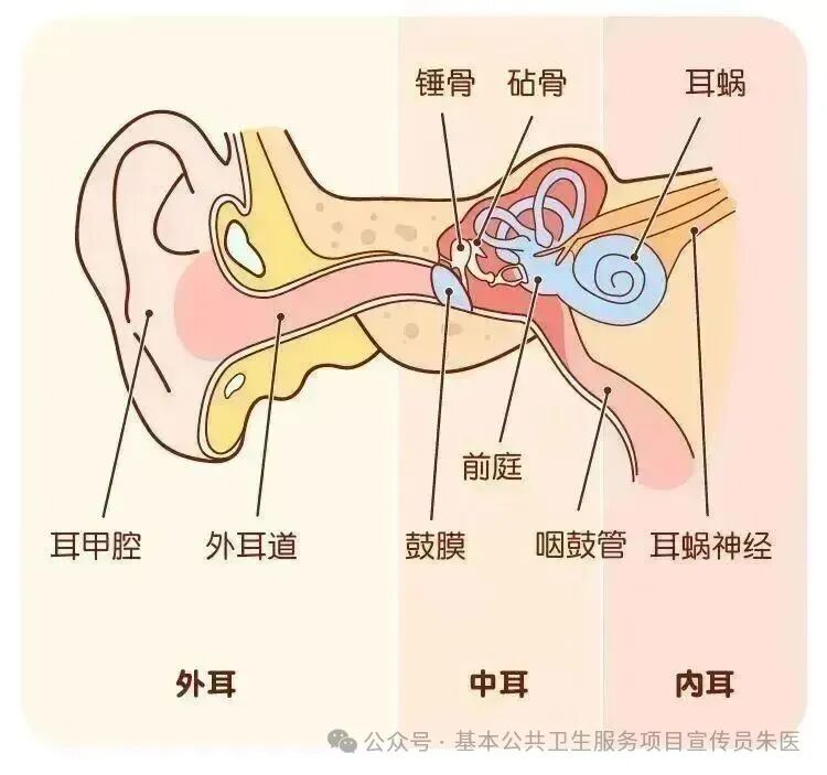 0db6fbb7e90f74650d903080005a0a72.jpg