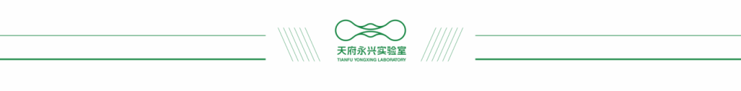分割线.png