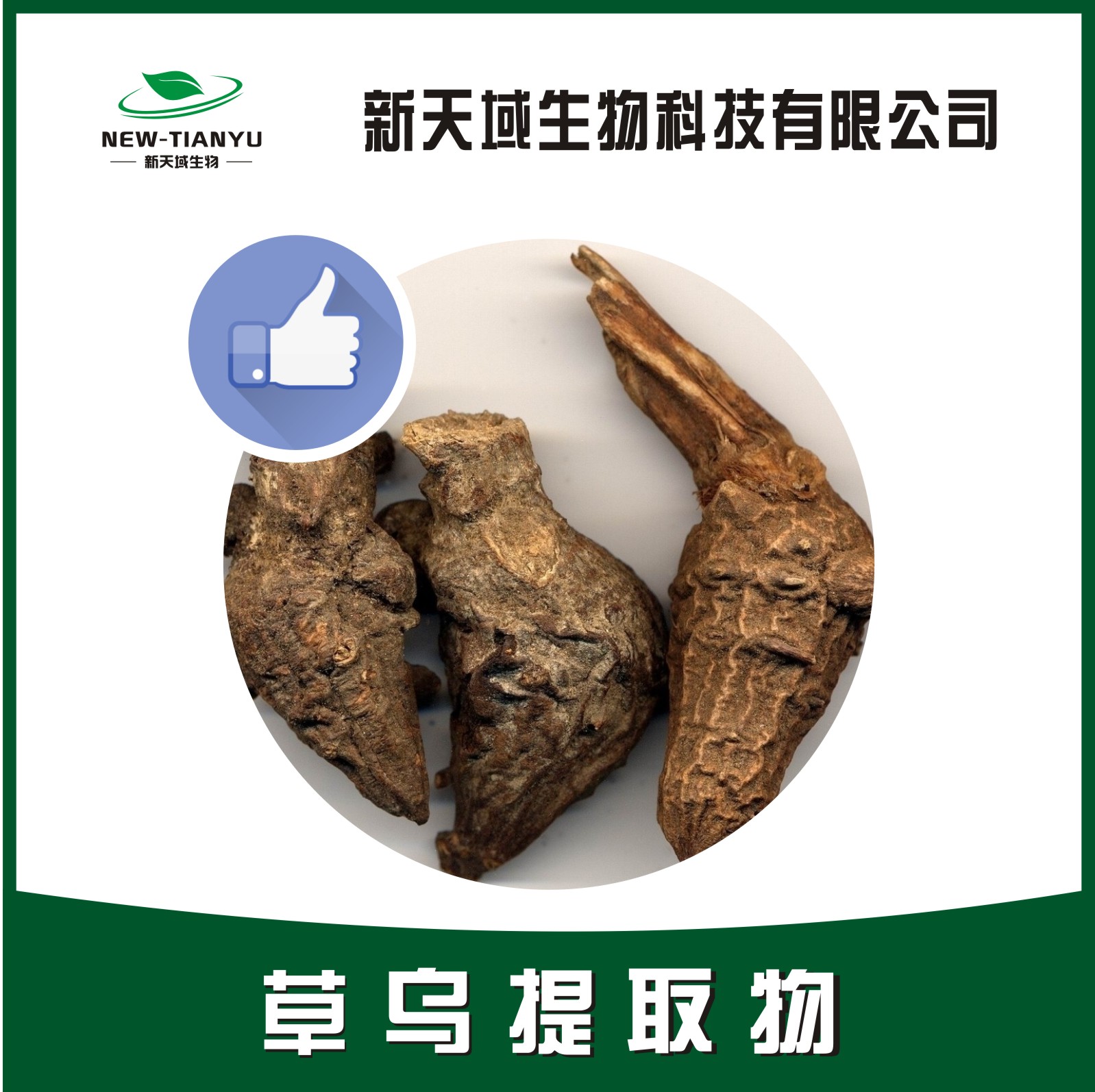 荠苨提取物-陕西新天域生物科技有限公司-官网