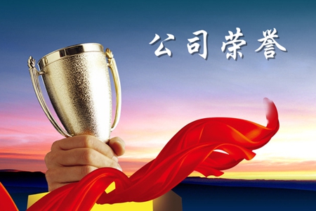 公司荣誉
