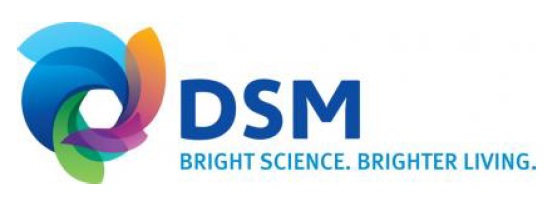 DSM