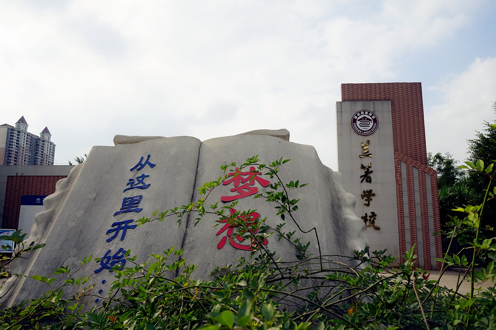 深圳龙岗兰著学校