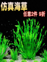 仿真水草