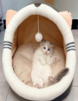猫床