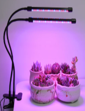 植物生长灯