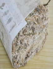 苔藓