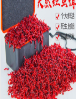 鱼饵活饵