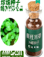 鱼缸水草种子
