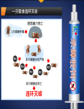 蟑螂药