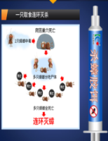蟑螂药