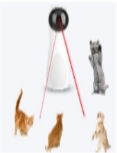 逗猫玩具