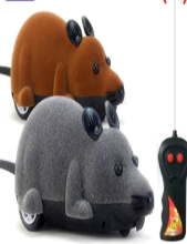 遥控老鼠