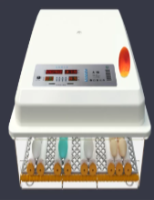 孵化器