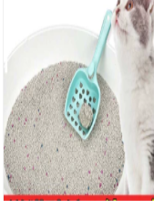猫砂珠