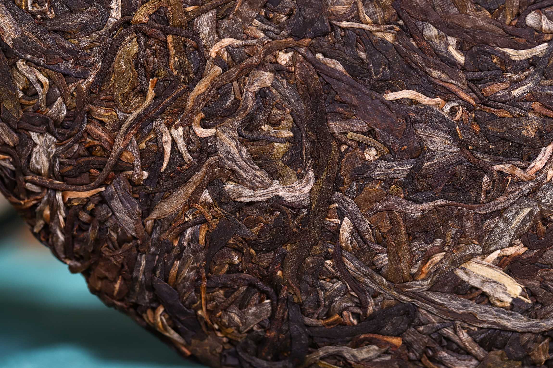 四星布朗-IMG_3503