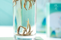 银月白毫银针-IMG_4933