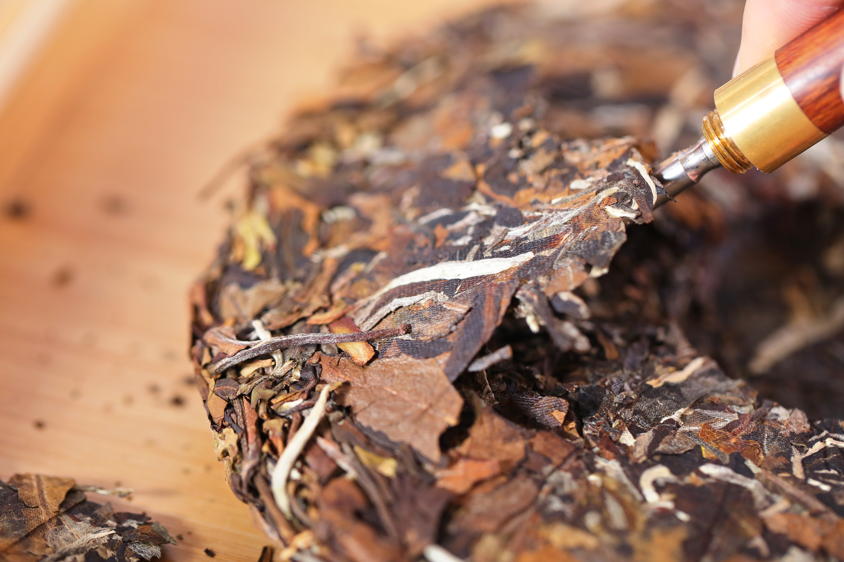 白茶雅韵-0X0A6984