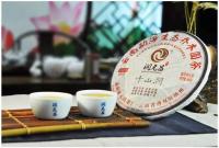 润元昌2012-2013-2015年千山润青饼普洱生茶千山系列