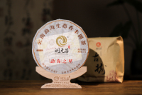 勐海之星-IMG_6043