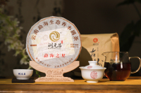 勐海之星-IMG_6167