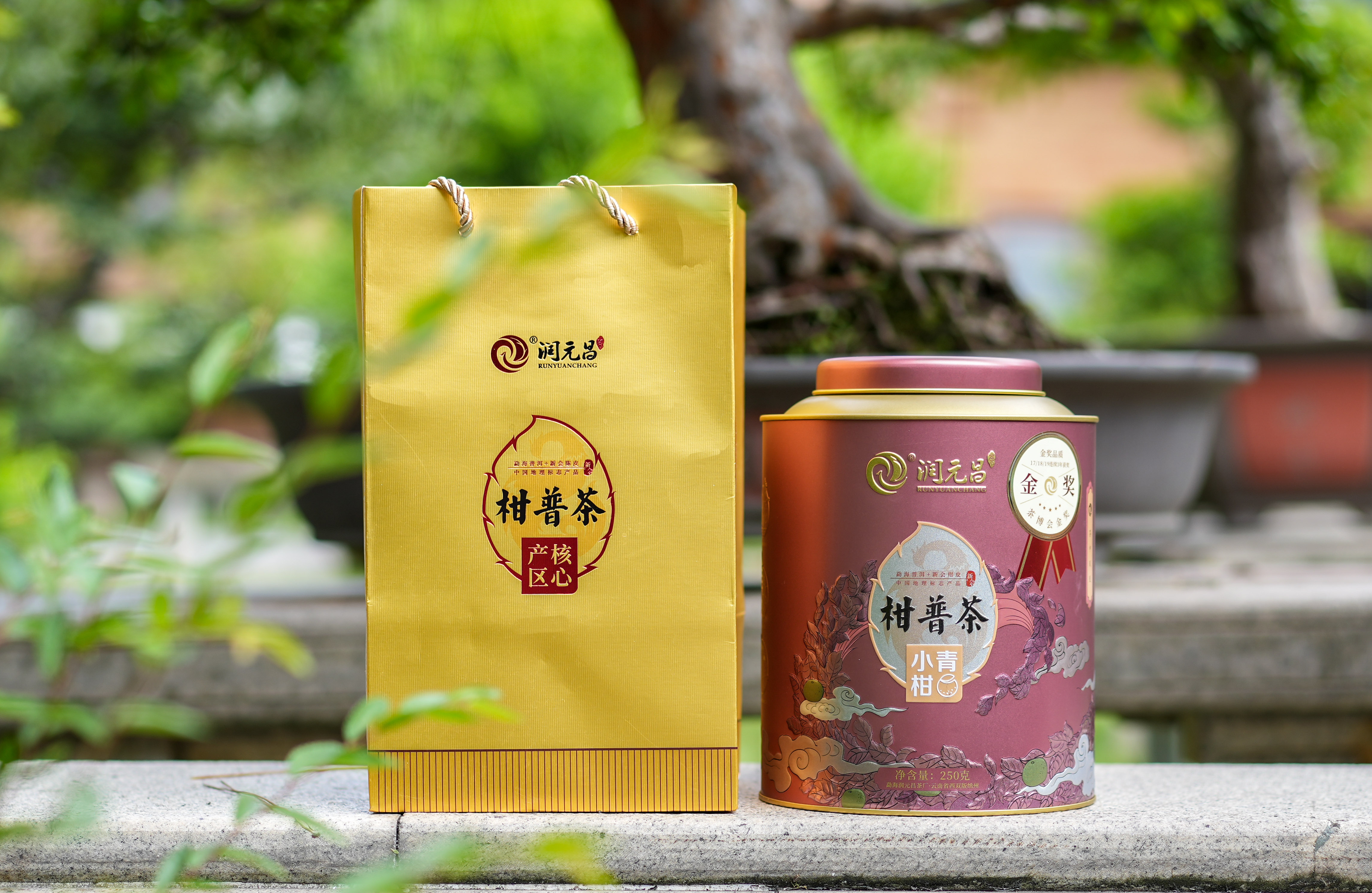 凤凰-微信图片_20230823113823