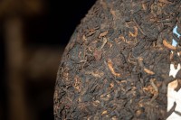 2023.10.13傣水灵灵-DSC01106