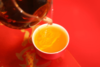 行运2017年陈皮-0X0A9591